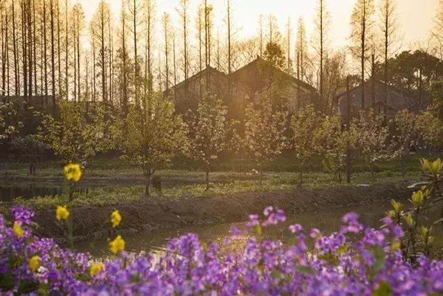 如何打造休闲旅游型美丽乡村,乌村乡村振兴