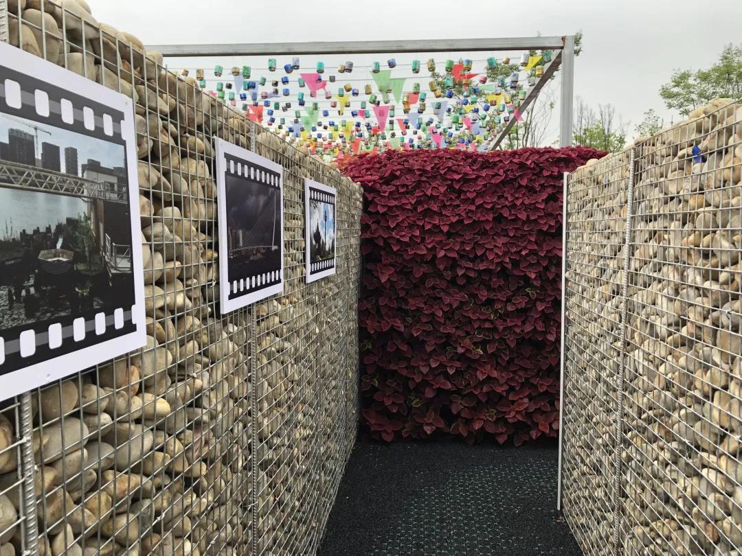 上海花博会讲解,上海花博会有什么