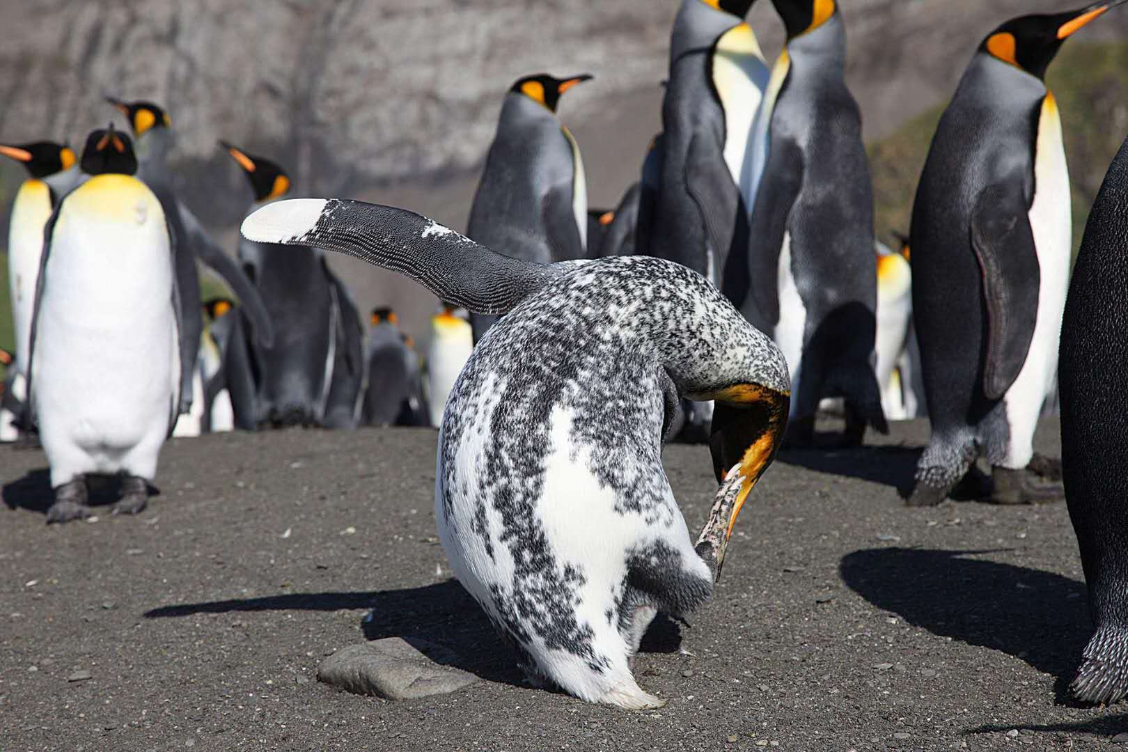 小白买房不知道的秘密,买房会听到哪些陌生词