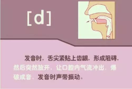 张中军音标发音48个教学视频合集,音标发音48个正确发音讲解视频