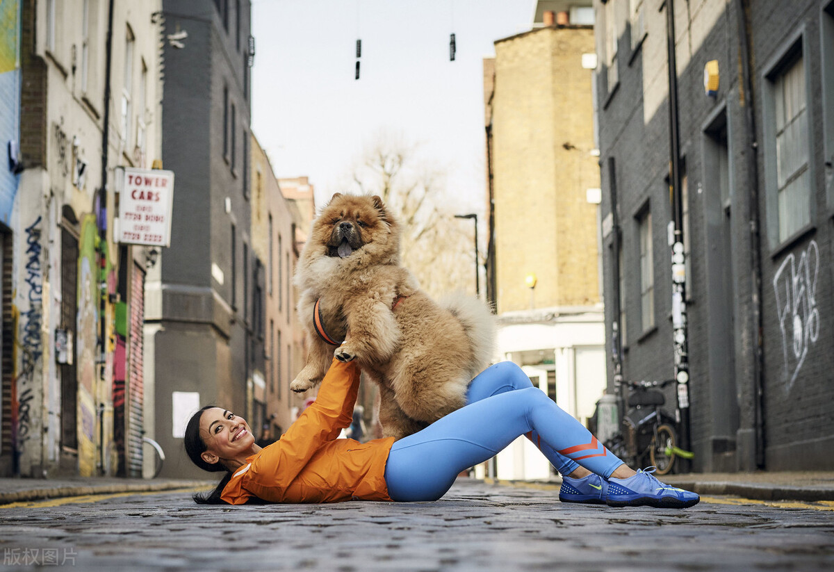 松狮犬的喂养与护理方法,松狮犬吃什么比较好养呢