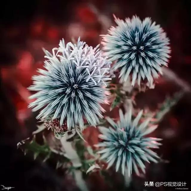 日常照片后期一定要用ps吗,摄影后期修图用ps什么版本