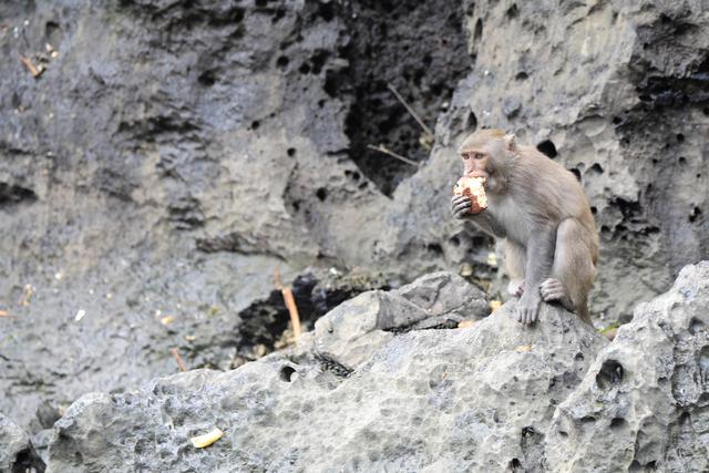 这里虽然风景如画人们生活的却很凄惨没日没夜的追着大船讨生活
