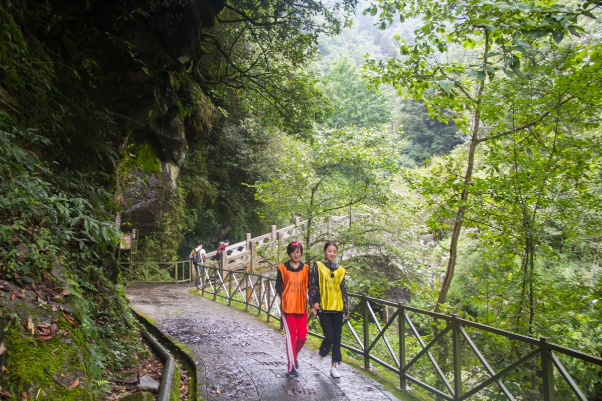 避暑攻略｜夏季均温19℃的大理苍山，才是当之无愧的纳凉避暑地