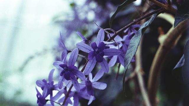 十二星座谁能让巨蟹死心,十二星座巨蟹忘不了前任