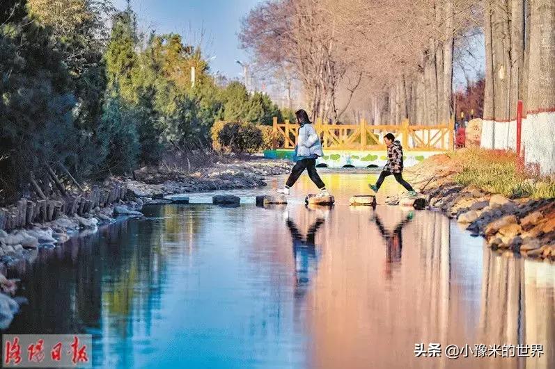 河南洛阳发布最新通知,洛阳牡丹花会向全世界发出邀请