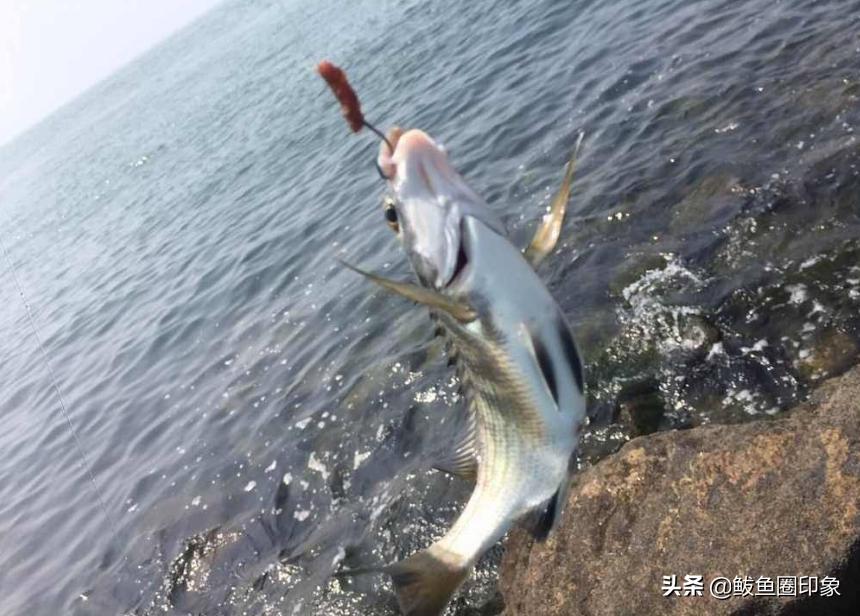 辽宁九月好去处,九月辽宁旅游推荐