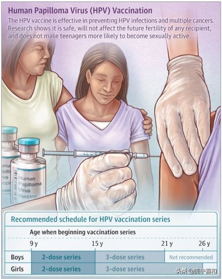 各种疫苗都是预防什么病,预防癌症的疫苗多少钱一针