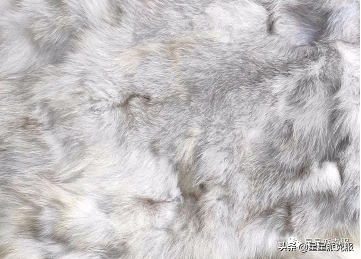 怎么辨别派克服貂毛,如何判断派克服内胆是狐狸毛