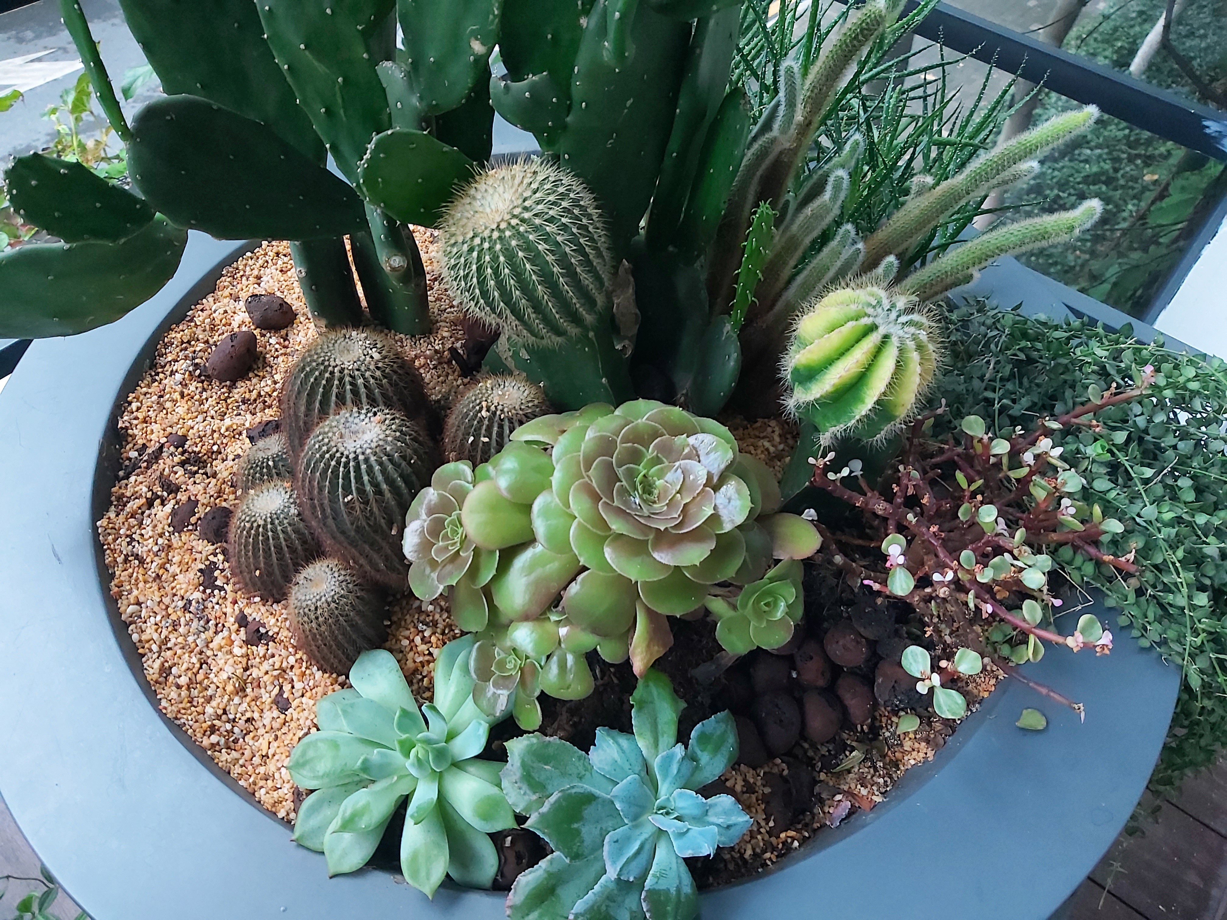 三星a60性价比,三星a607寸评测