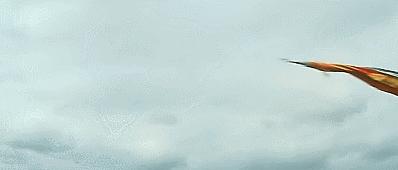 100部经典功夫老片,有哪些经典的武侠功夫片