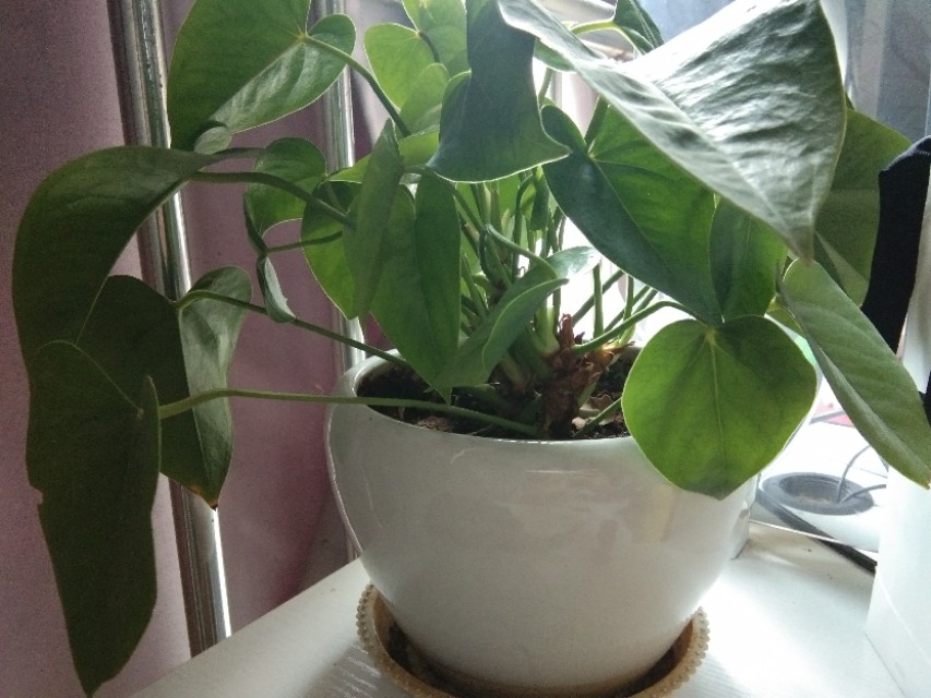 怎么应对自我挫败感,强烈的挫败感和自我否定如何安慰