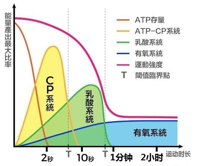 每天打球锻炼一小时一个月变化,每天坚持打球会瘦吗