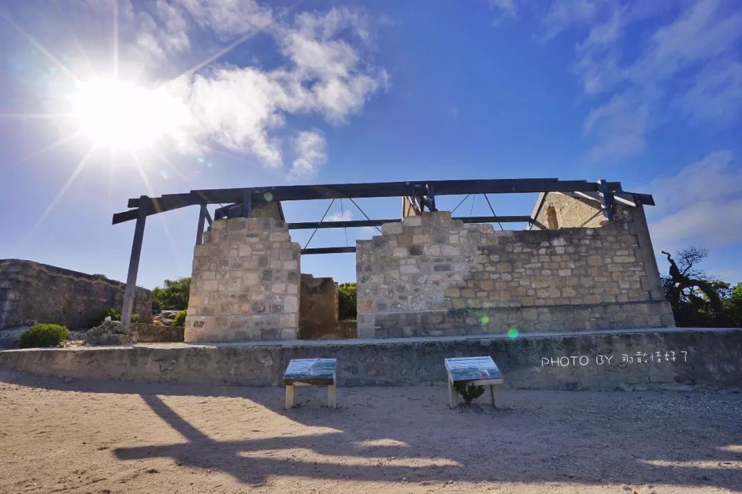 赴澳旅游注意,若带蜂蜜制品上岛,将被判两年监禁或8000澳元罚款