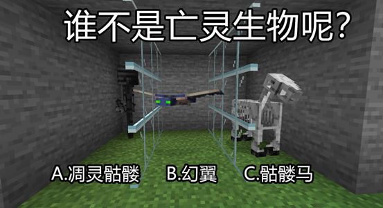 我的世界老玩家考试,我的世界老玩家测试题有答案