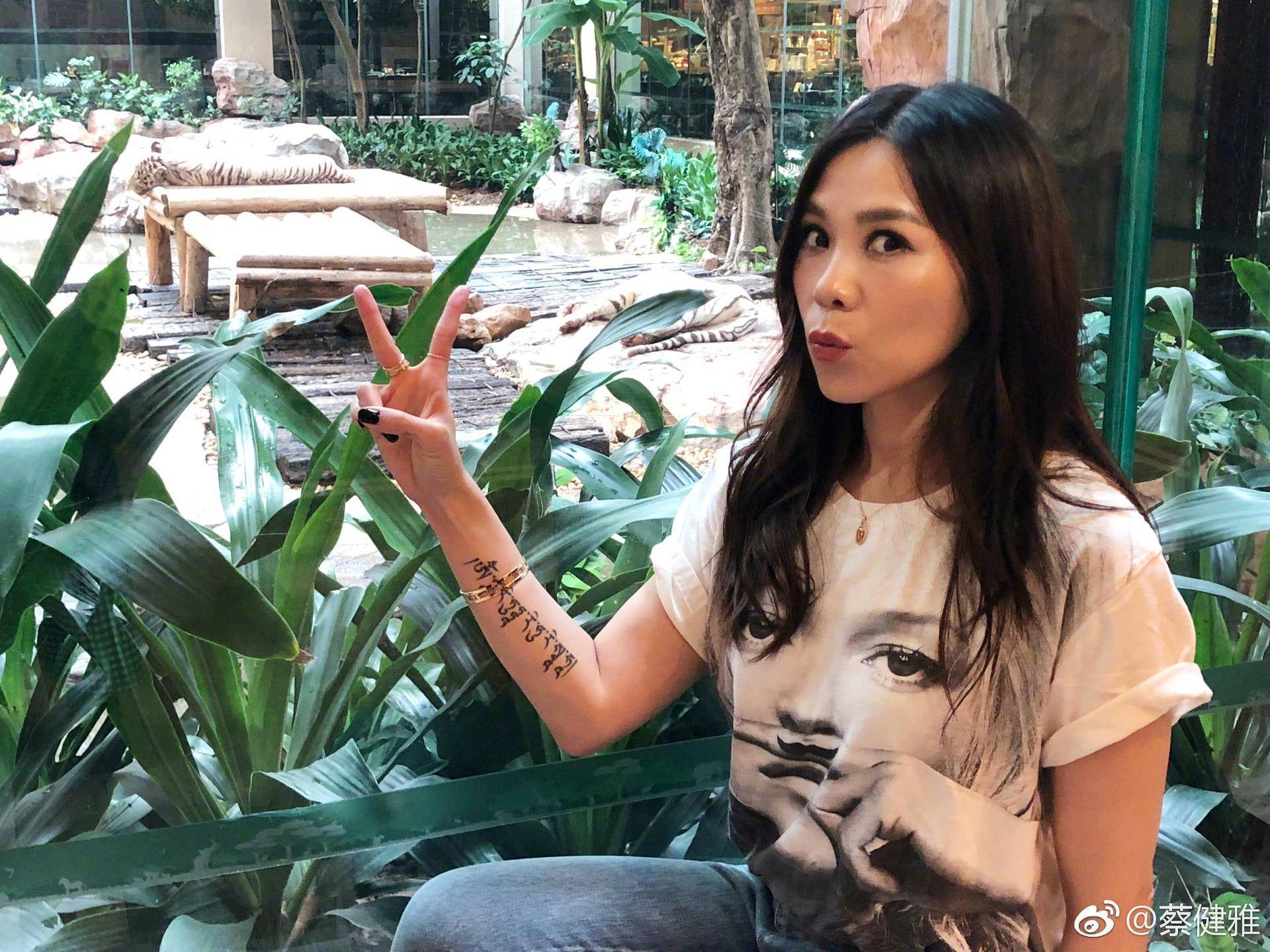 盘点蔡健雅抄袭的歌曲,蔡健雅去年新歌