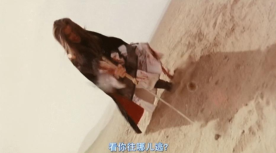 甄子丹最佳战役,盘点甄子丹古装戏精彩打斗