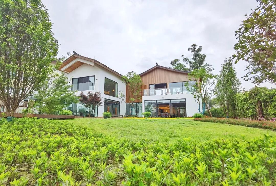 瑙呰叮灏忛晣褰窞,瑙呰叮灏忛晣宕囧窞