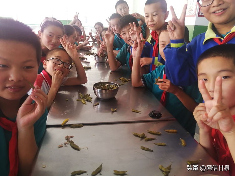 延安甘泉：播种绿色希望，收获金色成长——记甘泉县第三小学综合实践活动