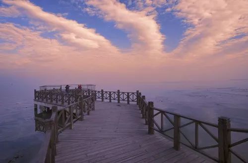 推荐上海地铁能乘到的游玩景点,上海地铁可直达的旅游景点