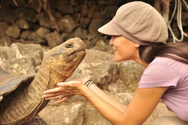 如何提高龟的互动性,养龟怎么和龟互动