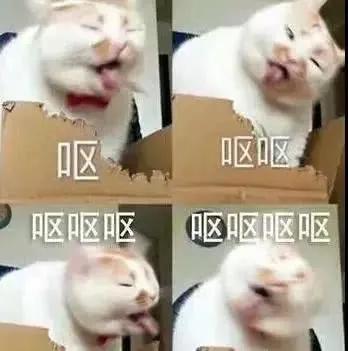 这几天的松江，可真叫人左右为“楠”……