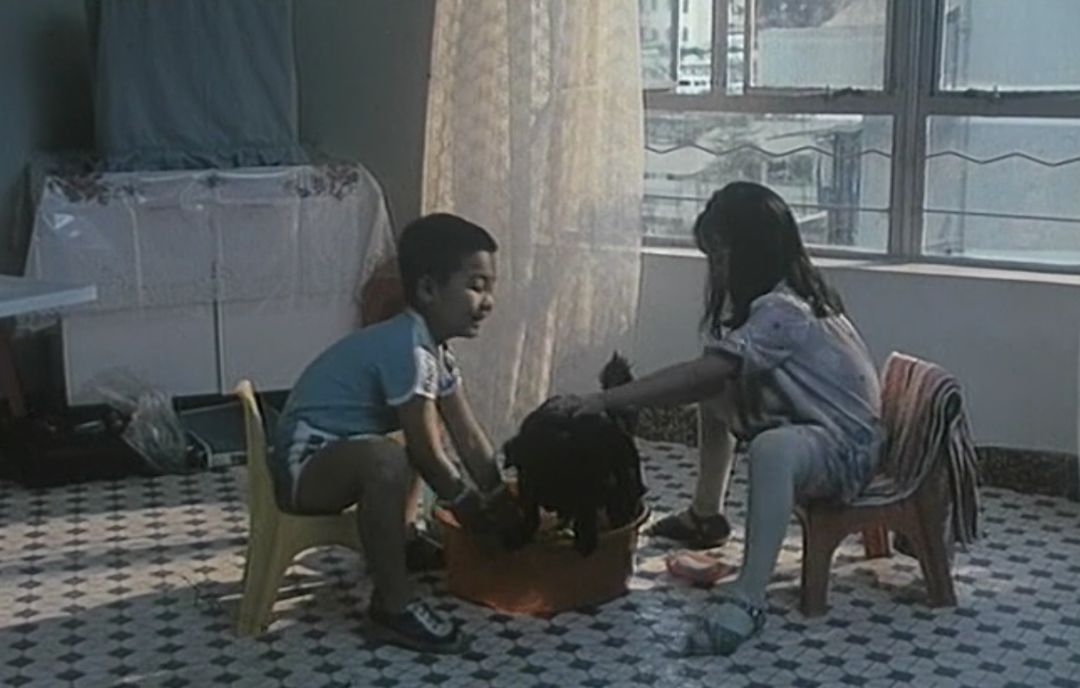 霹雳贝贝王莹多大了,1988年霹雳贝贝谁演的