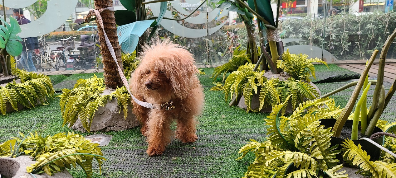 三星note9对比三星s20+测评,三星s20小杯换s24小杯