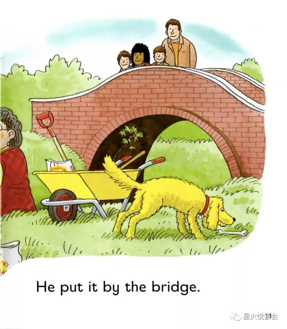 newtrees牛津英语绘本,牛津树第二级英文绘本