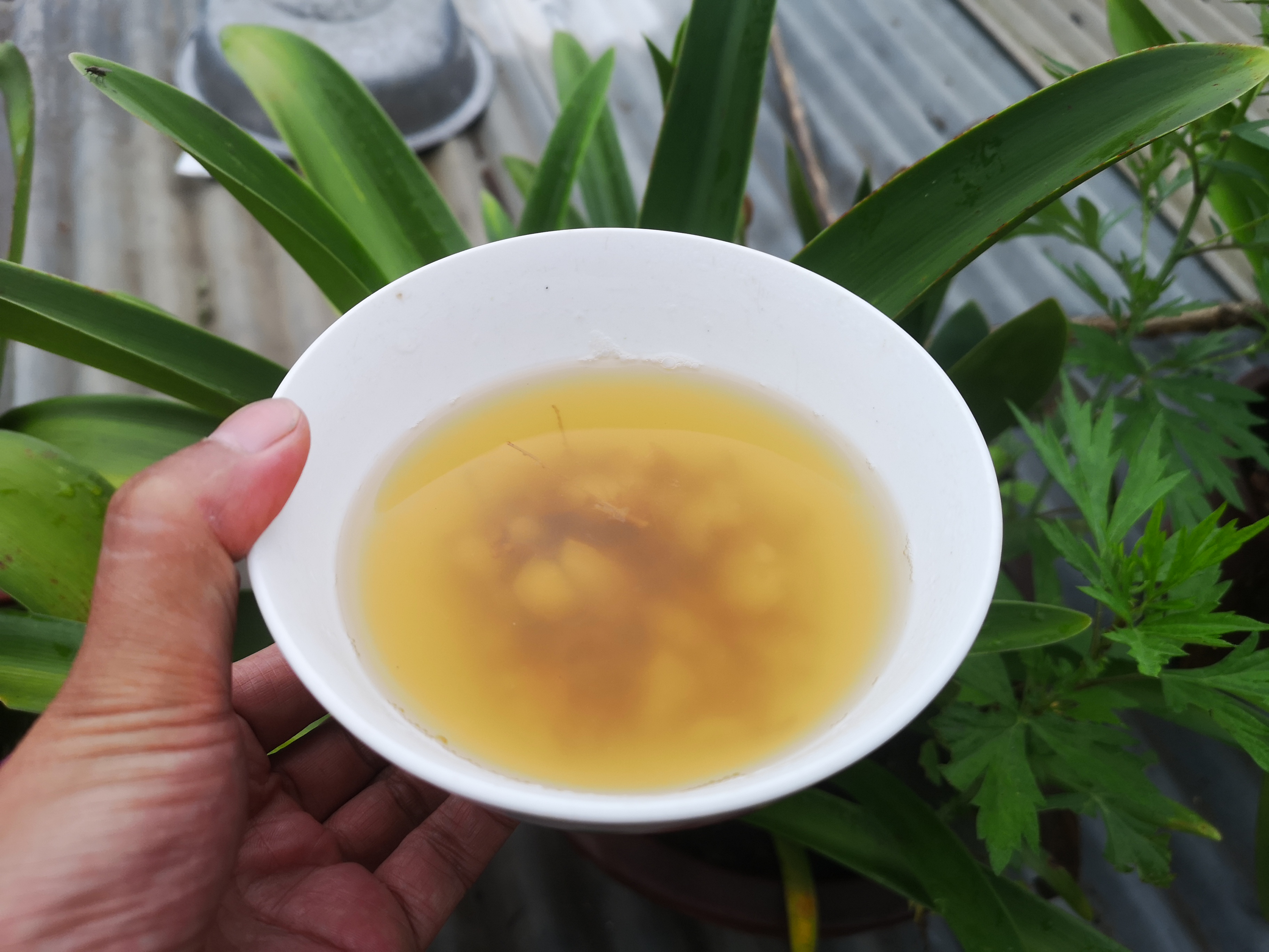 人参怎么吃好吃,人参要怎么吃才是最好的