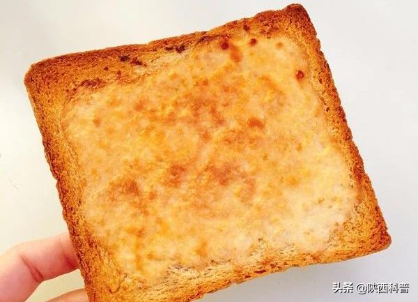 烤焦的肉类中含有什么致癌物,烤焦肉串有毒吗