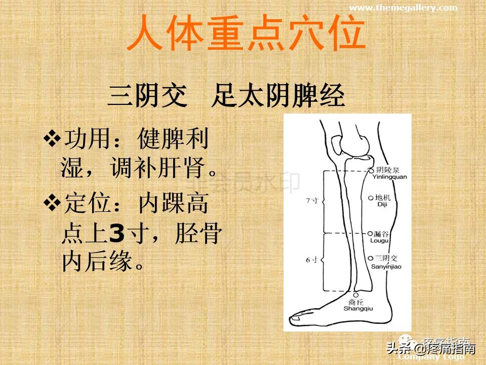 中医针灸推拿学入门,真正厉害的中医推拿