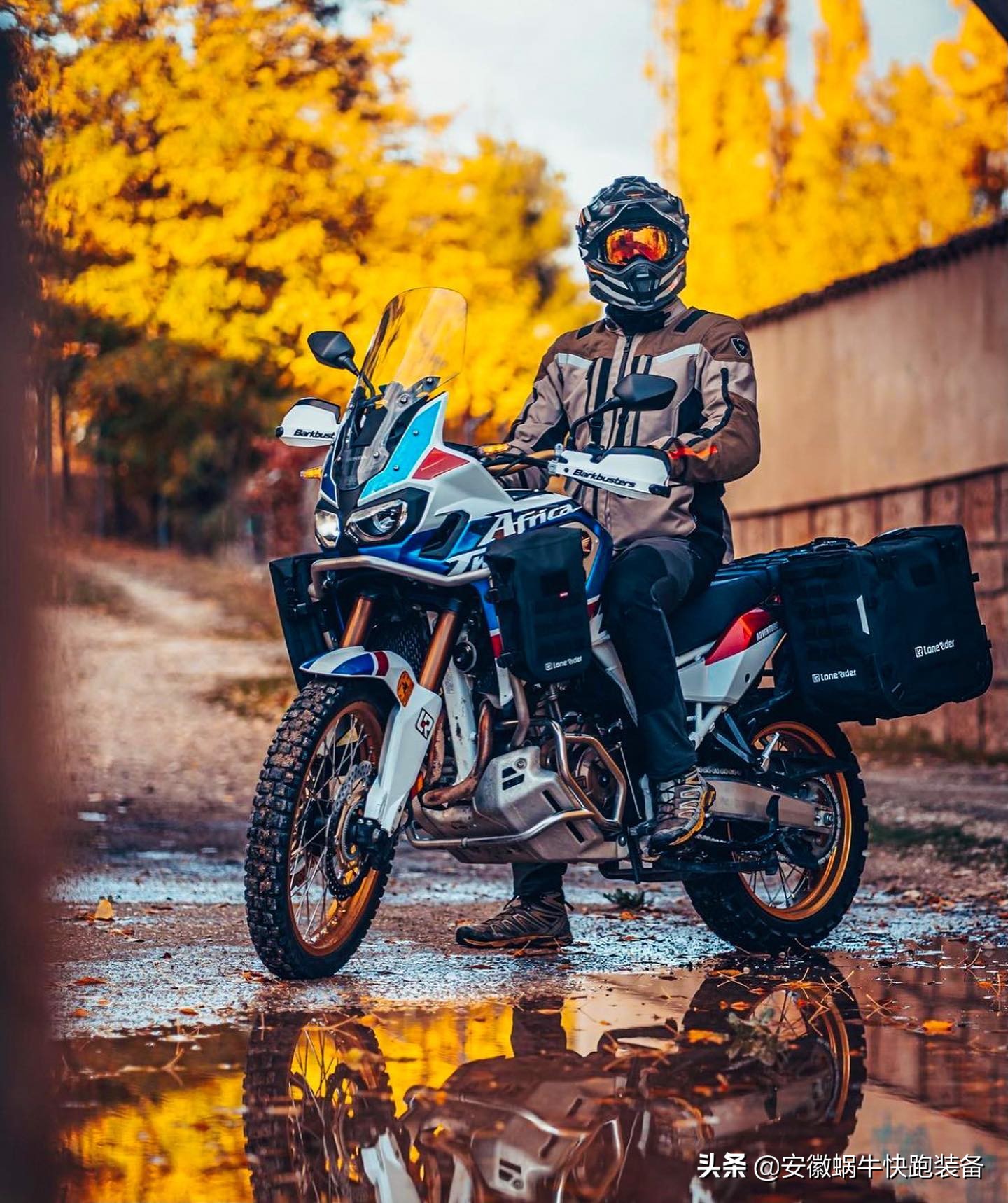 打响双11第一枪,备战双十一有没有信心