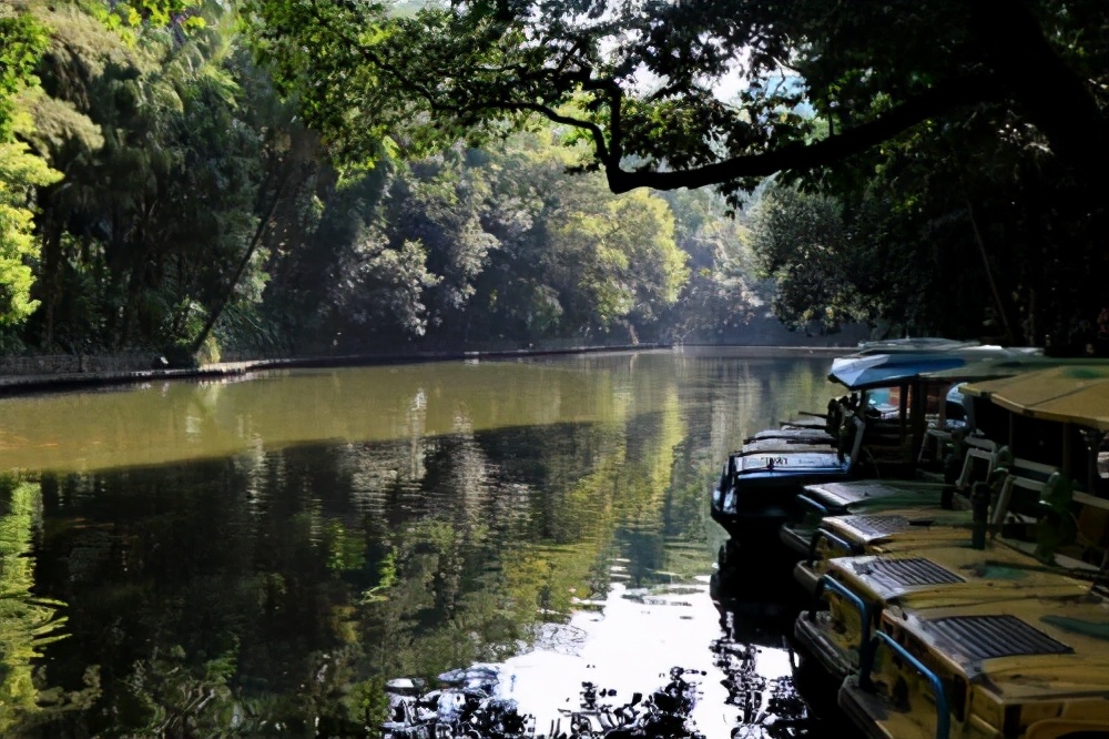 广州5a级景区推荐,广州国家aaaaa级旅游景区名单查询