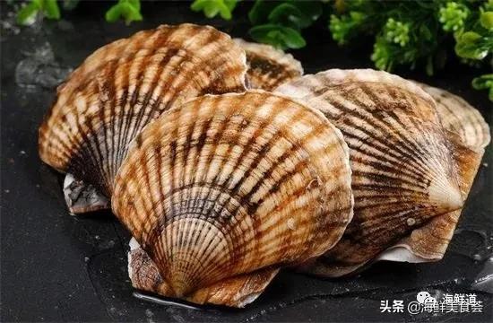 102种海鲜,营养丰富的海鲜有哪些品种