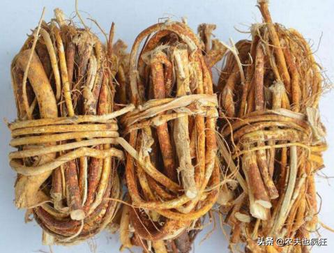 叫桃不是桃，20年前山上很多，如今农民大量种植，10元1斤很畅销