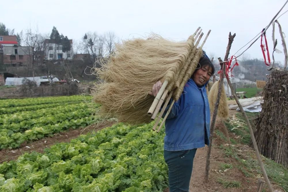 湖北十堰郧阳特产,十堰郧阳特色美食有哪些