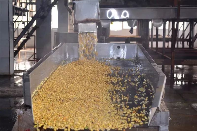 许昌胖东来供货商真实感受,许昌胖东来工厂条件