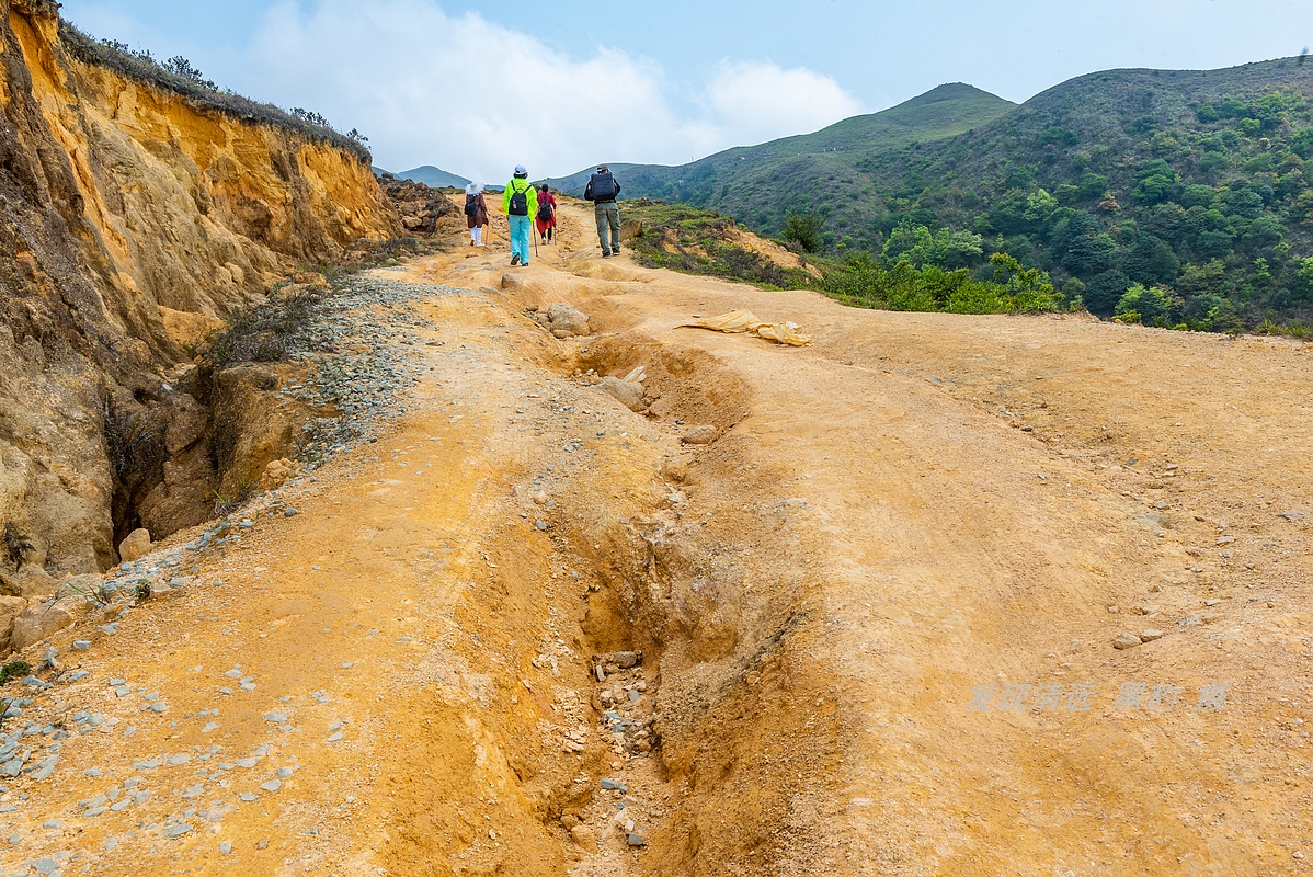 走最远的路,航拍广东最壮美的野生杜鹃花海