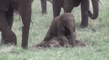 他们被杀之后，依然在爱你