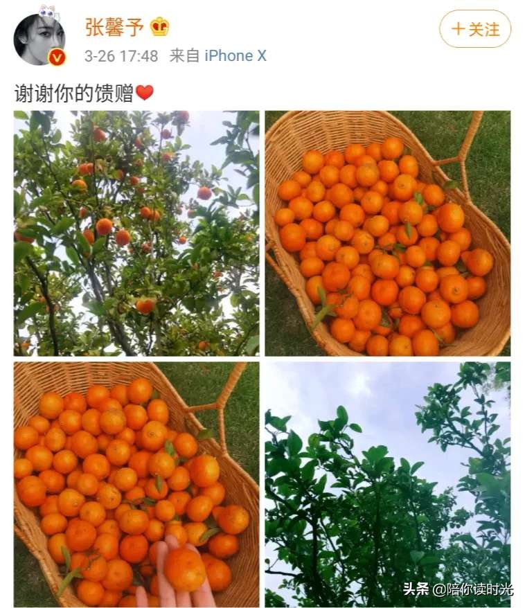 张馨予热门话题,张馨予从话题女王到帅气