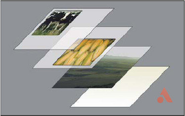 procreate新手入门ipad推荐,新手学procreate入手ipadpro合适么