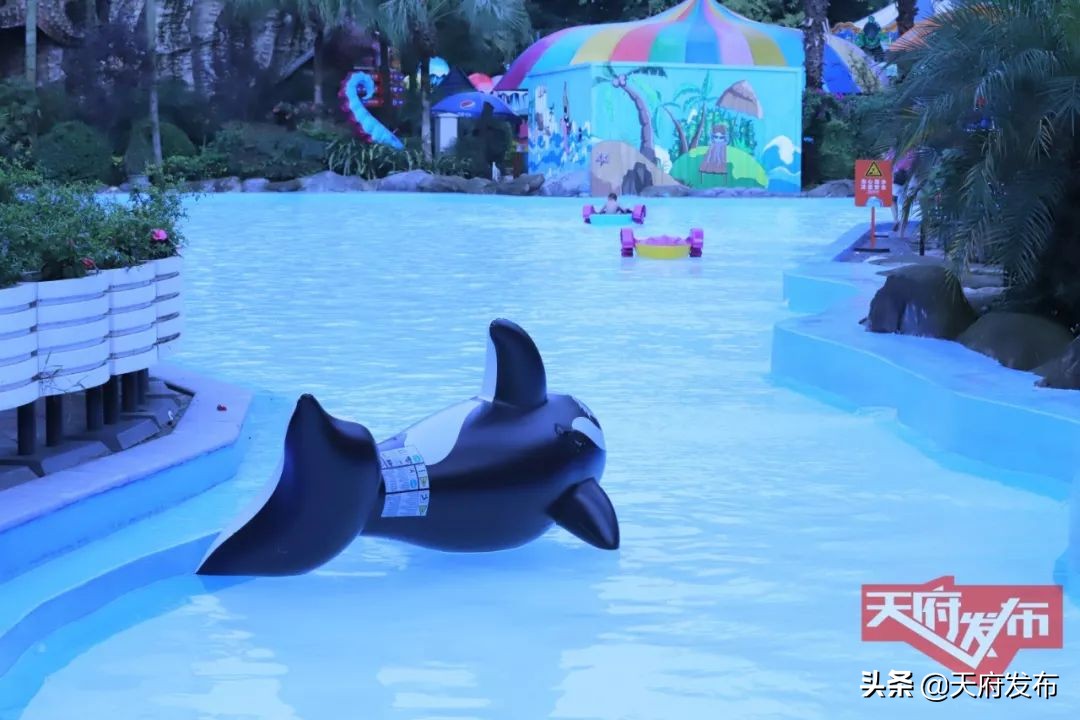 世警会准备什么,世警赛赛程2023