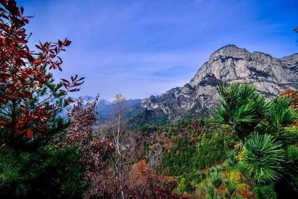 西安自驾秦岭秋色最好的地方,西安自驾一日游的绝佳去处秦岭