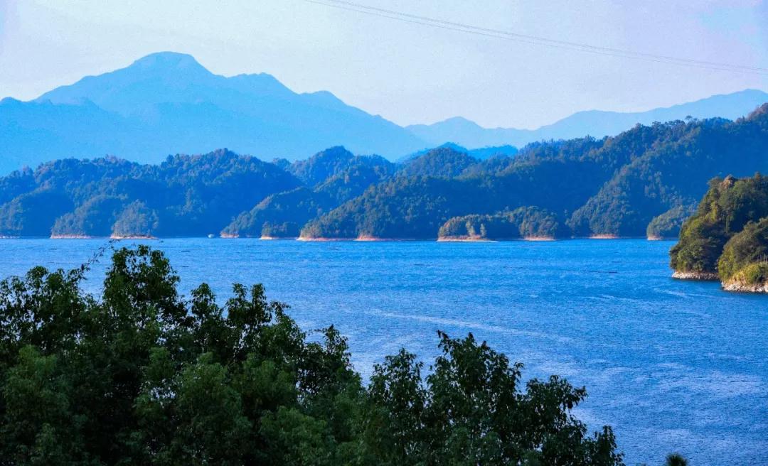 “blingbling”,黄得可爱的橘子可以从8月摘到来年2月!淳安中联村:临湖民宿处女地,甜甜蜜蜜看湖景