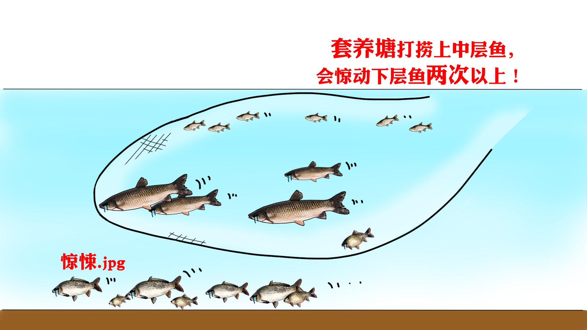 网络曝光坑人的老板,为什么黑坑钓鱼越来越少