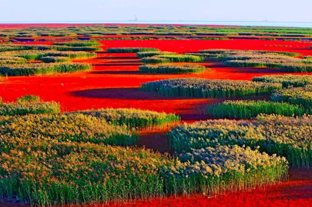 2019必去的旅行地,8月最新旅行地推荐