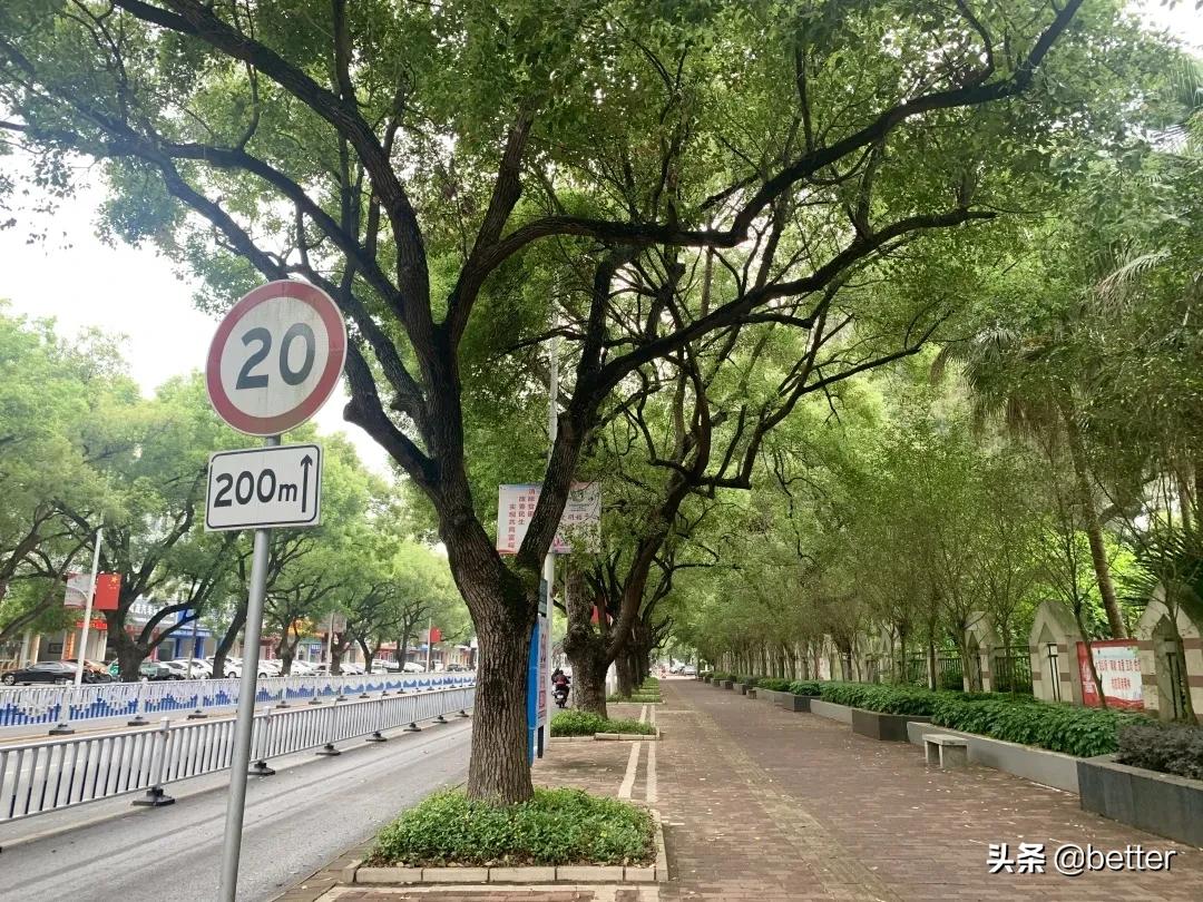 从天台掉下来的女孩,负债50万女债友成功上岸之路