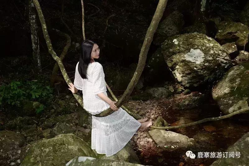 柳州到九寨沟自驾游攻略路线图,从广西柳州去九寨沟路过哪些景区