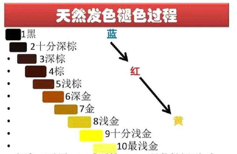 学美发染发基础知识,初学美发入门基础知识染发
